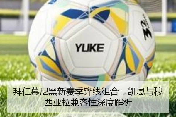 拜仁慕尼黑新赛季锋线组合：凯恩与穆西亚拉兼容性深度解析